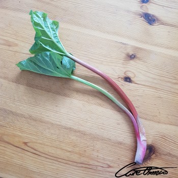 Image of Raw Rhubarb