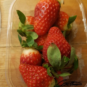 Image of Raw Strawberries (Fresh) that contain total fat (nlea)