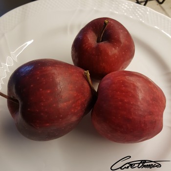 Care Omnia Nutrition Tool - Raw Apples (Red Delicious, With Skin, USDA Food Distr. Program Included) Image of Raw Apples (Red Delicious, With Skin, USDA Food Distr. Program Included)