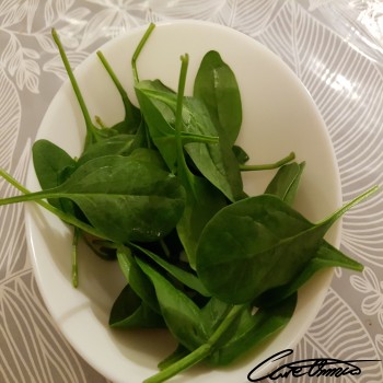 Image of Raw Spinach (Fresh) that contains galactose