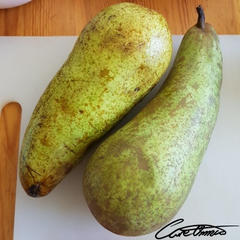Image of Raw Pears