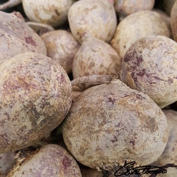 Image of Raw Beets that contain phytosterols