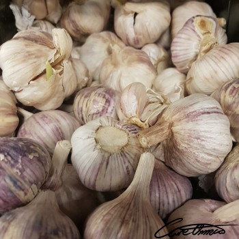 Image of Raw Garlic that contains nitrogen