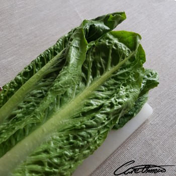 Image of Raw Lettuce (Cos Or Romaine) that contains folinic acid