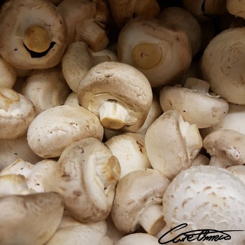 Image of Raw White Mushrooms that contain alpha-tocotrienol
