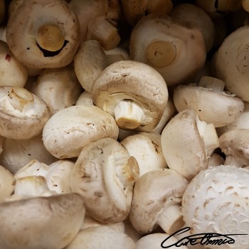 Image of Raw White Mushrooms (Exposed To Ultraviolet Light)