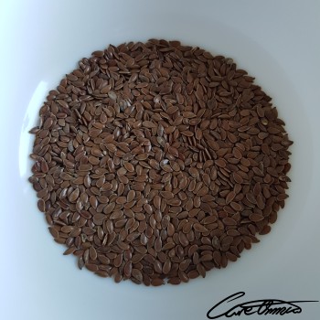 Image of Flaxseed (Seeds) that contains threonine