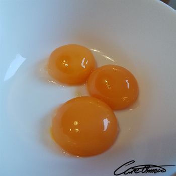 Image of Raw Egg Yolk that contains eicosatetraenoic acid, ETA (20:4)