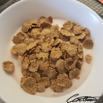 Image of Bran Flakes (Not Further Specified) that contain vitamin E