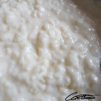 Image of Rice Pudding (Made With Coconut Milk, Puerto Rican Style) that contains capric acid (10:0)