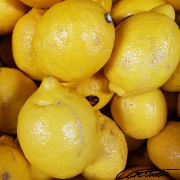 Image of Raw Lemon