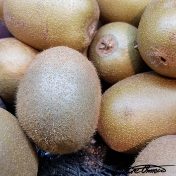 Image of Raw Kiwi Fruit