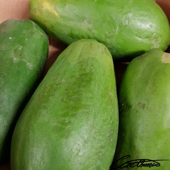 Image of Raw Papaya that contains beta-cryptoxanthin