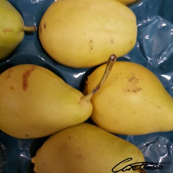 Image of Raw Pear