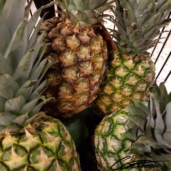 Image of Raw Pineapple