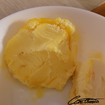 Image of Fruit Sorbet (Citrus Flavor)
