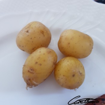 Image of Boiled Potatoes (Made From Fresh, Made Without Fat, Peel Eaten)
