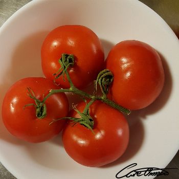 Image of Raw Tomatoes