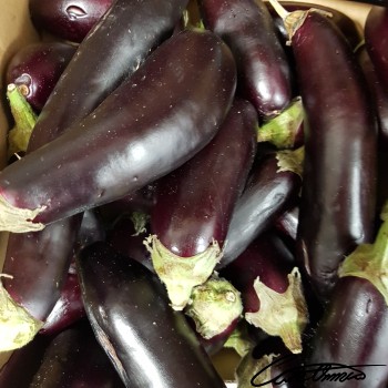Image of Raw Eggplant