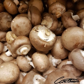 Image of Raw Mushrooms