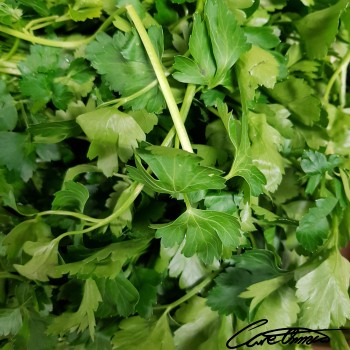 Image of Raw Parsley