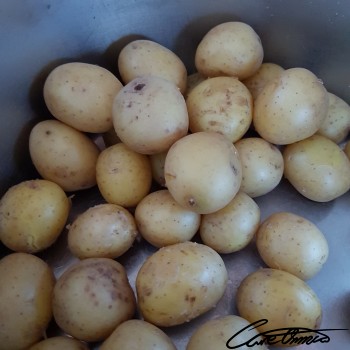 Image of White Potatoes (Boiled With Peel, Peel Not Eaten, Unspecified If Cooking Fat Added)