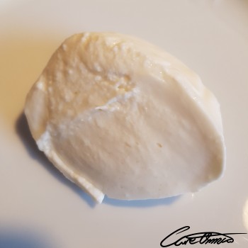 Image of Mozzarella (Cheese, Low Moisture, Part-Skim) that contains galactose