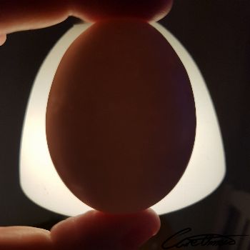 Image of Raw Whole Egg (Fresh) that contain iodine