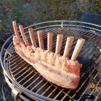 Image of Raw Lamb Ribs (Grade: Choice, Meat Only, Trimmed To 1/4" Fat) that contain folate, food