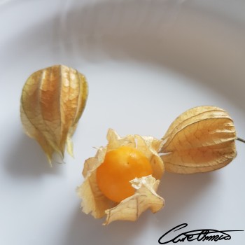 Image of Raw Groundcherries (Cape-Gooseberries Or Poha) that contain niacin