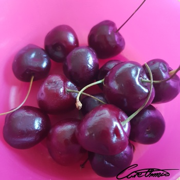 Image of Raw Sour Cherries (Red)