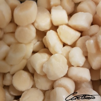 Image of Raw Scallop (Mollusks, Mixed Species) that contains palmitelaidic acid (16:1 t)