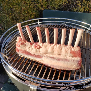 Image of Raw Lamb Ribs (Grade: Choice, Meat & Fat, Trimmed To 1/4" Fat) that contain total polyunsaturated fatty acids