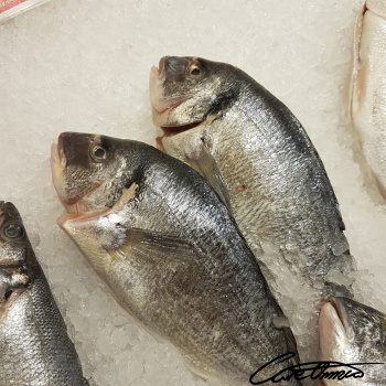 Image of Raw Sea Bass (Mixed Species, Fish)