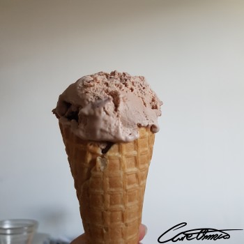 Care Omnia Nutrition Tool - Ice Cream Cone (No Topping, Chocolate Ice Cream) Image of Ice Cream Cone (No Topping, Chocolate Ice Cream)