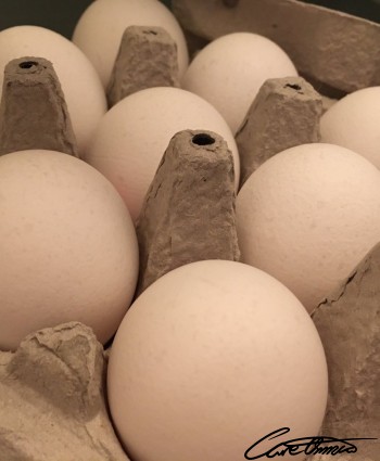 A tray of eggs