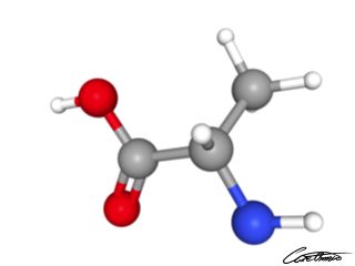 A three-dimensional representation of Alanine