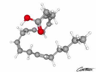 A three-dimensional representation of Arachidonic acid (20:4 n-6)