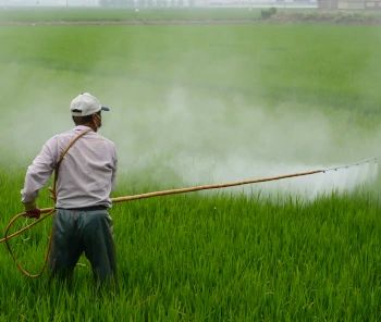 Care Omnia a person spraying pesticides