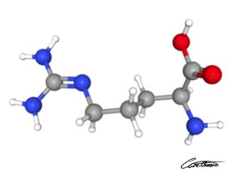 A three-dimensional representation of Arginine