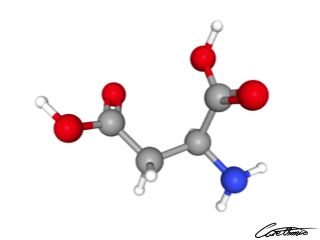 A three-dimensional representation of Aspartic acid