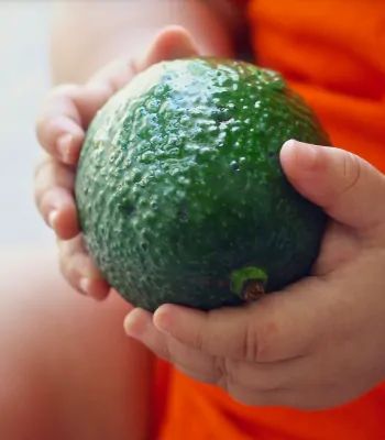 Care Omnia Baby holding avocado