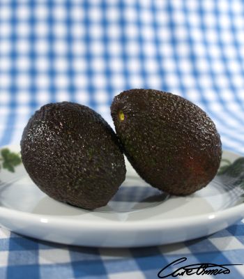 A pair of avocados on a plate