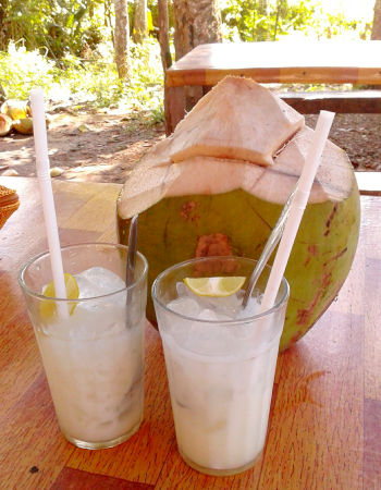 Best Milk To Drink! A Review Of 8 Different Types Of Milk - Be careful when cutting open a fresh coconut. Care Omnia Two Glasses of Coconut milk