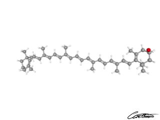 A three-dimensional representation of beta-Cryptoxanthin