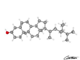 A three-dimensional representation of beta-Sitosterol