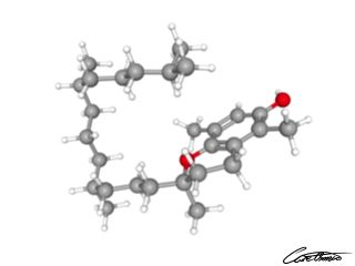 A three-dimensional representation of beta-Tocopherol