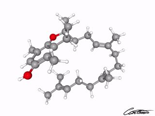 A three-dimensional representation of beta-Tocotrienol