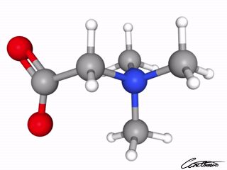 A three-dimensional representation of Betaine