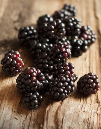 Healthy Blackberries On Log